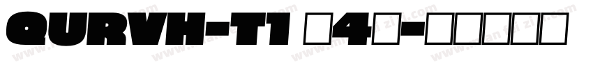 QURVH-T1 (4)字体转换